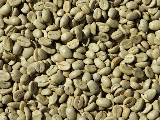 Nyers arabica kávé bab (zöld kávébab). 
Pixabay